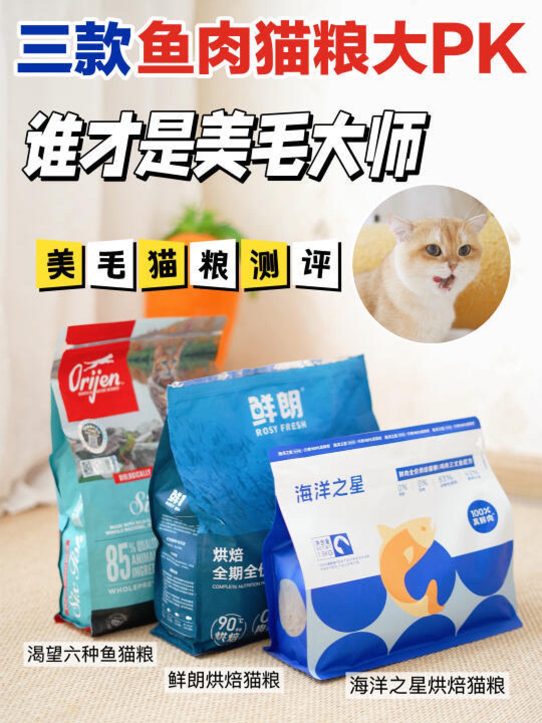 精选内容集|猫咪口粮大比拼 精选数款猫粮解析选择贴士