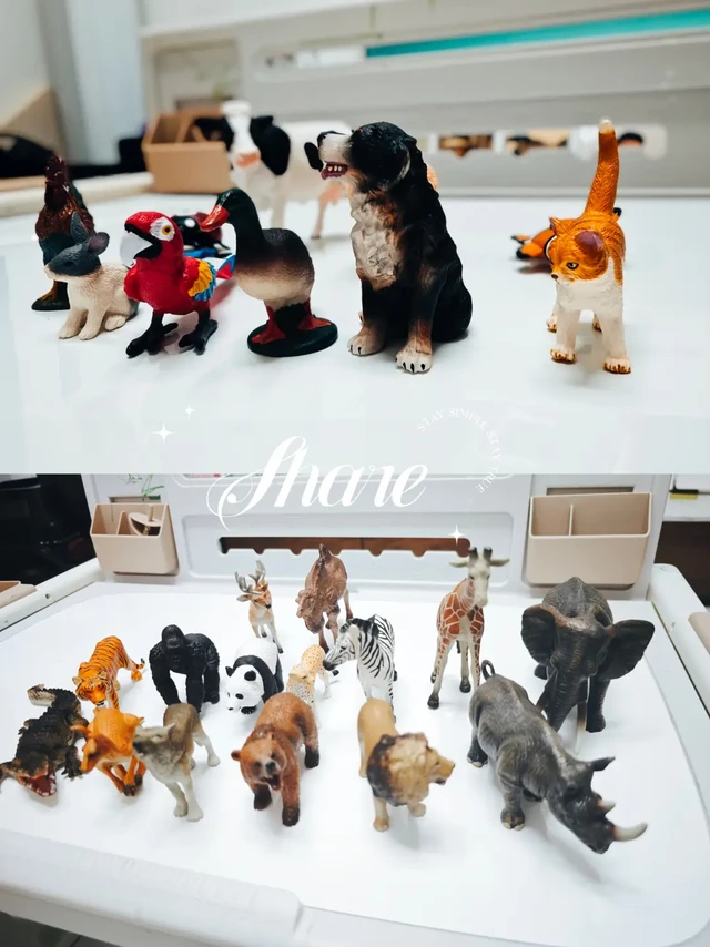 Share|动物模型怎么选