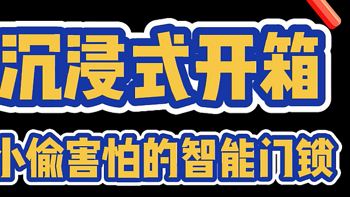 沉浸式开箱 小偷害怕的智能门锁