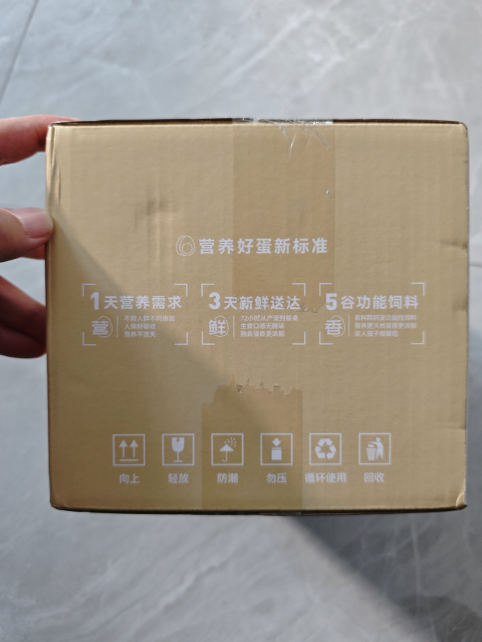 喵满分蛋类