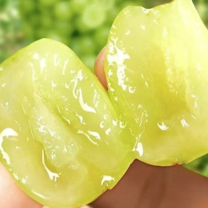 方盛葡萄/提子