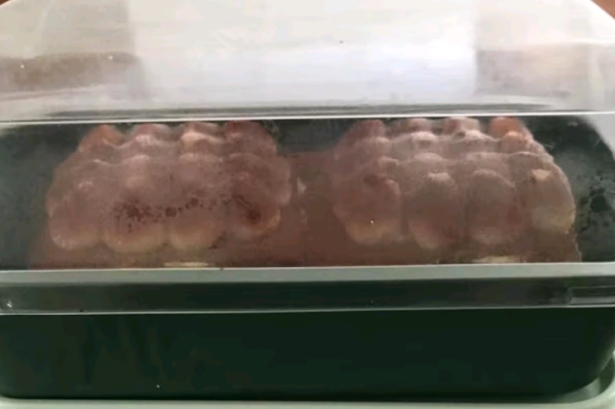 中粮香雪常温蛋糕
