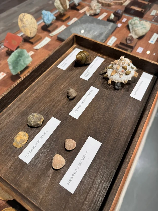 现代社会没人写字