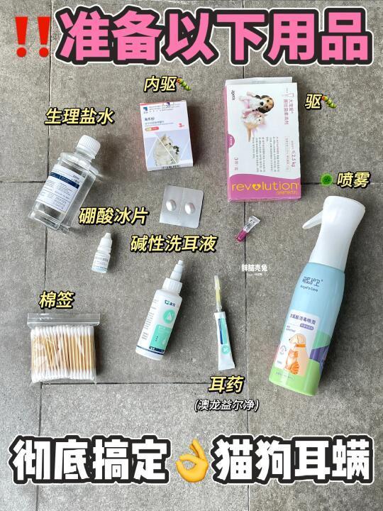 猫狗耳螨反复治不好！3步教您彻底清除！