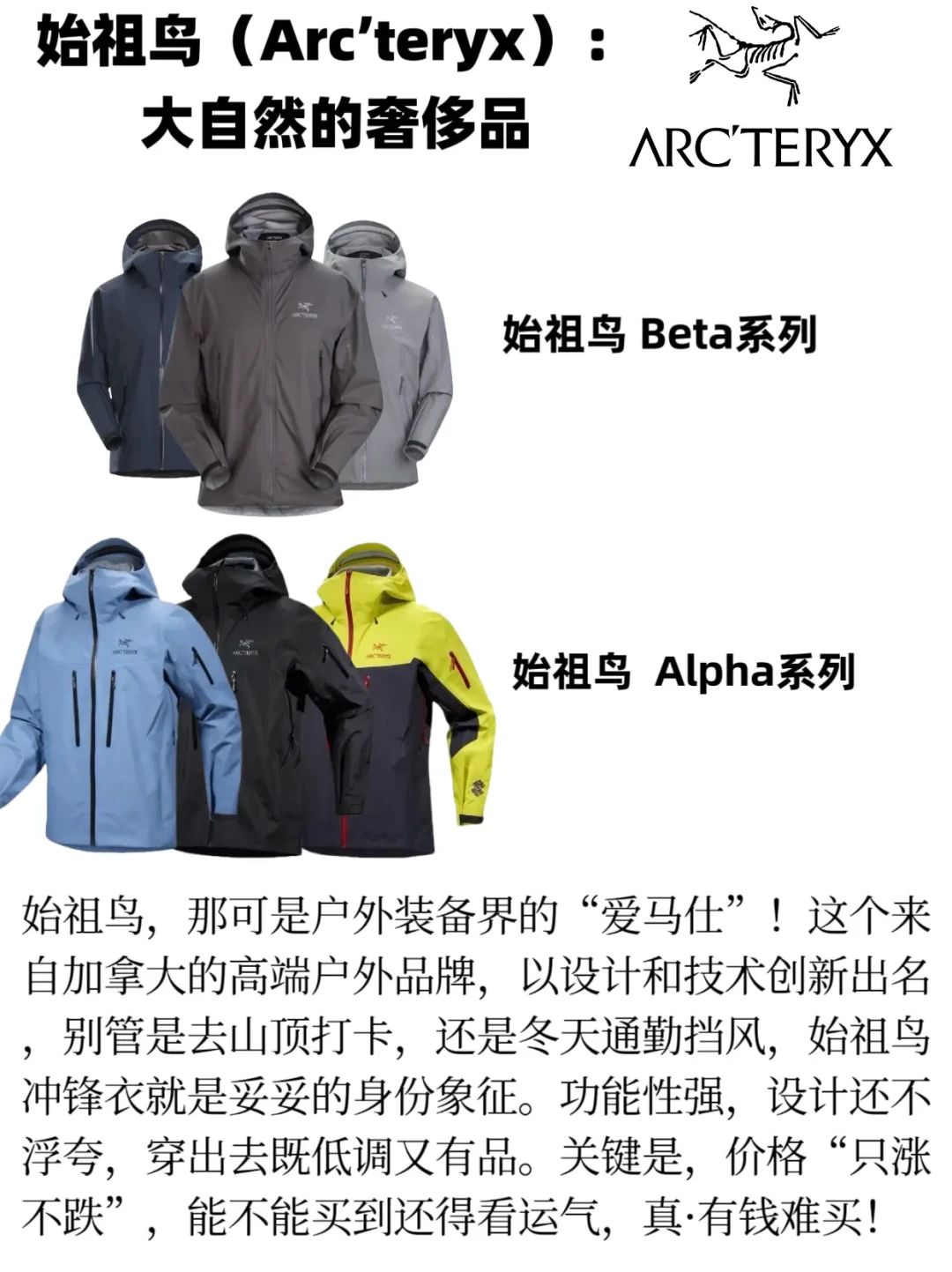 中产阶层品质首选：始祖鸟、Lululemon和萨洛蒙的成功密码