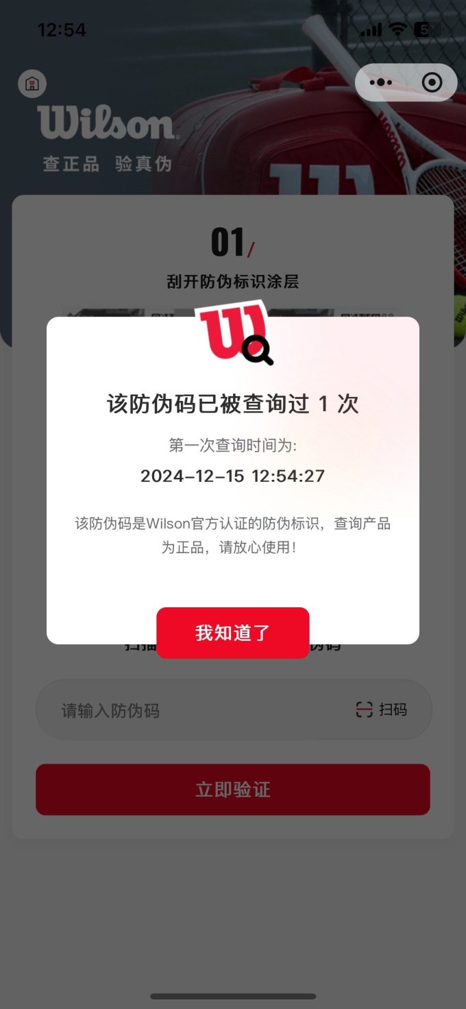 威尔胜篮球
