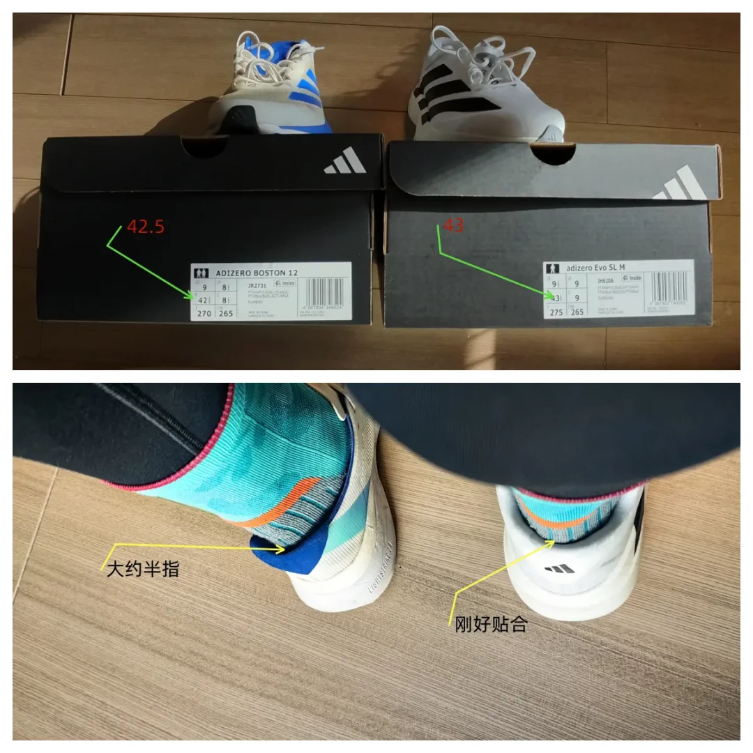 Adidas Adizero Evo SL:轻盈与缓震并存的2024年度跑鞋之选