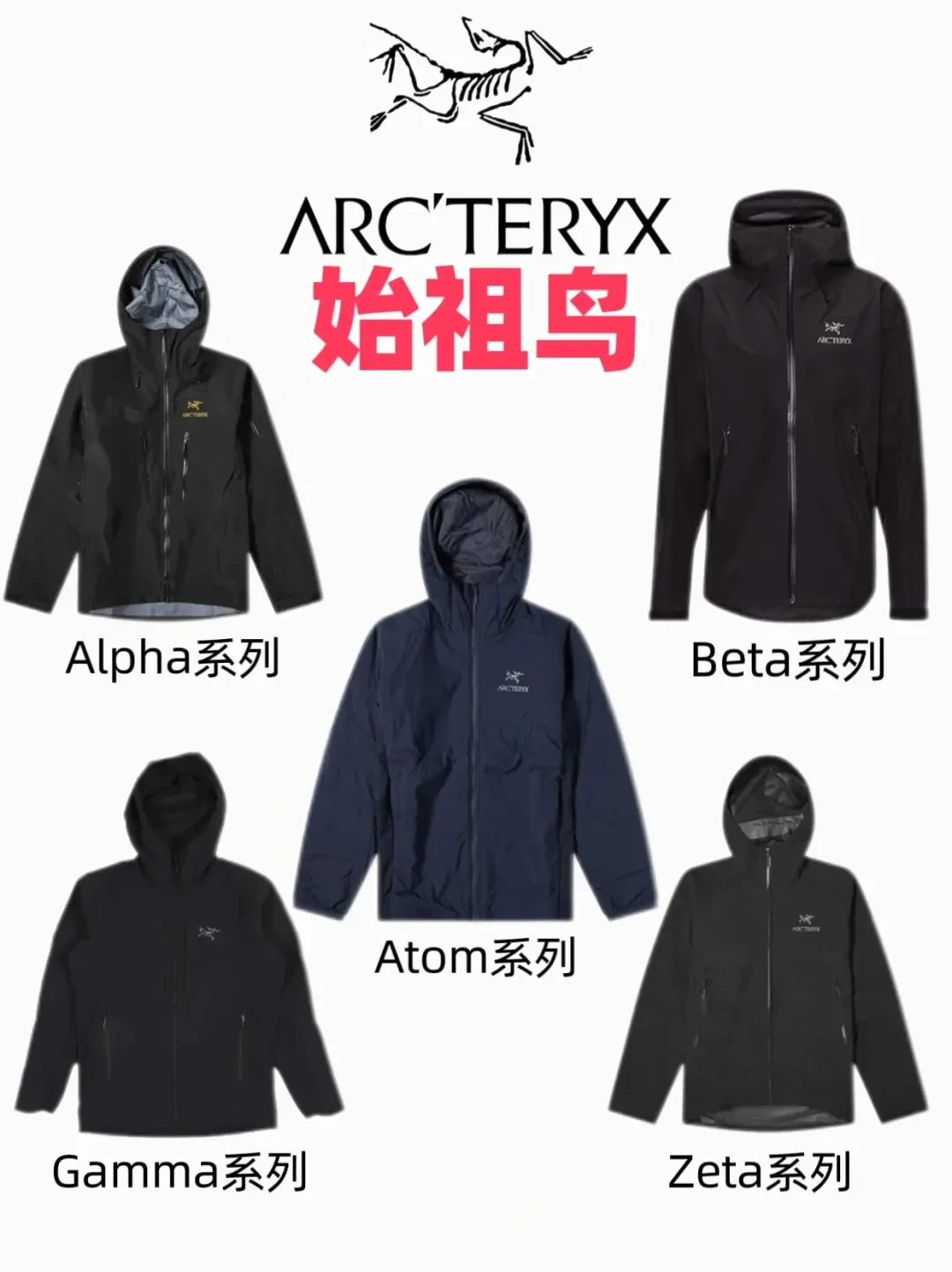 小众品牌如何凭借社交媒体和明星效应走红