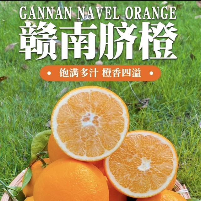 春福乐之赣南甜脐橙