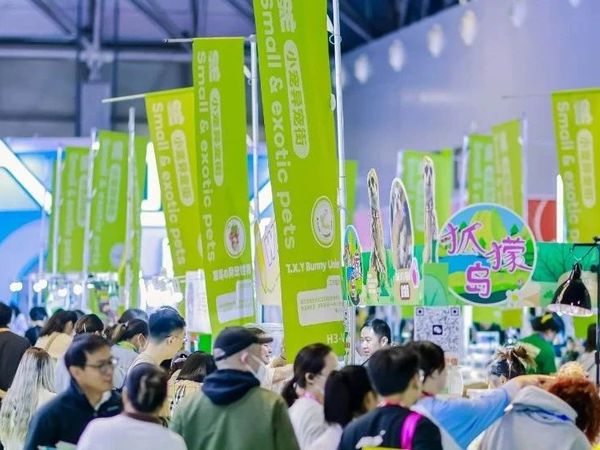 还在观望的小宠异宠品牌们，2025真的是时候上车了！