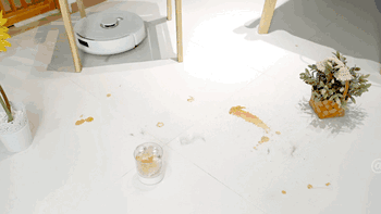 与云鲸的结缘，以及今年给妈妈买一件实用的新年礼物 