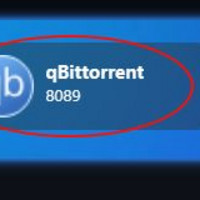 qbittorrent下载器最佳设置分享