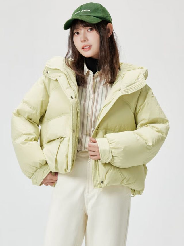 雪中飞，冬日温暖守护