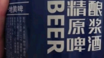 瑞井原浆精酿啤酒生黄啤鲜啤罐装13°P精酿原浆10天鲜啤 2L 1桶