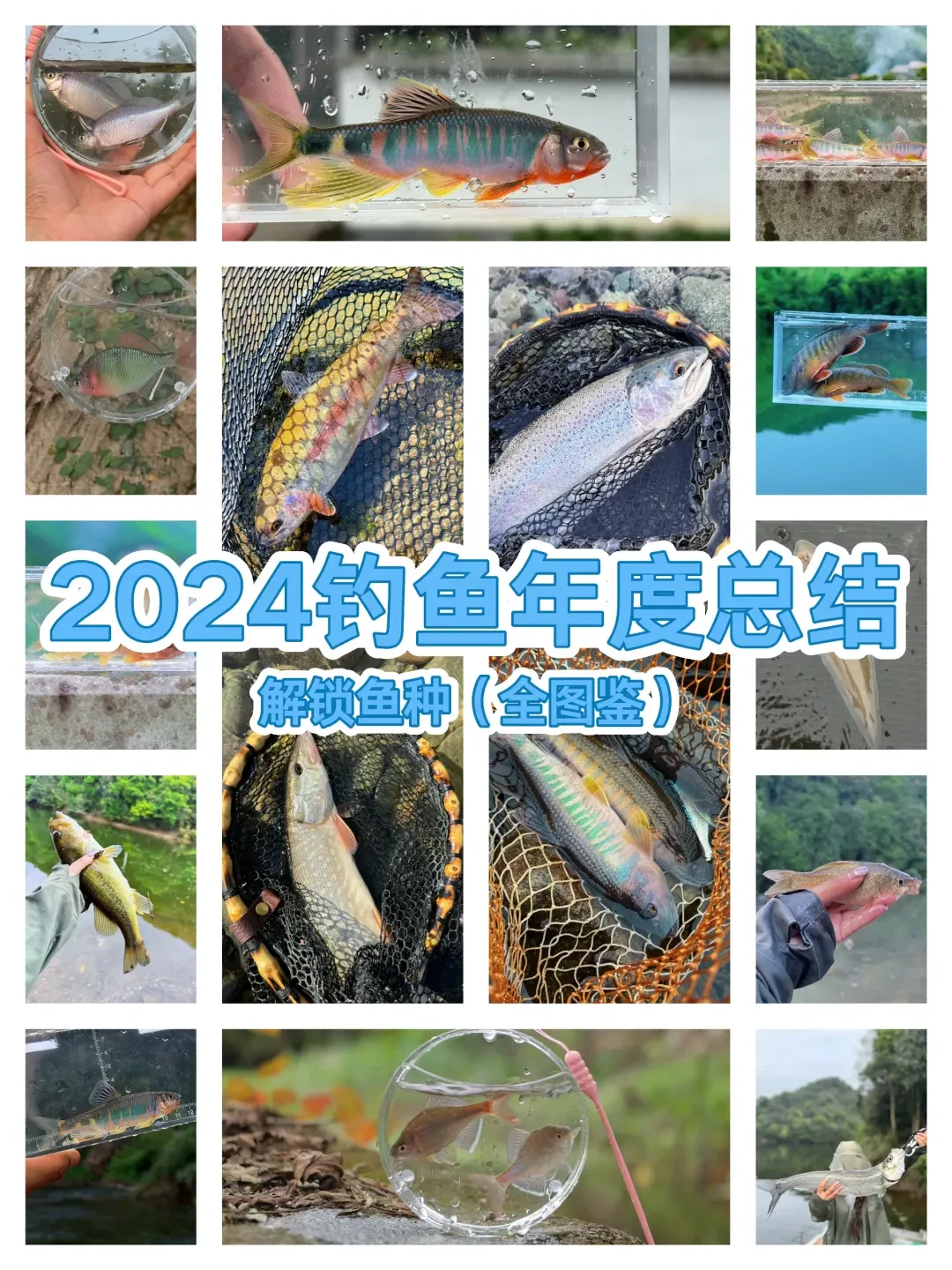 钓鱼人们不仅享受到了乐趣,还通过这项活动收获了更多的内心平静和社交体验