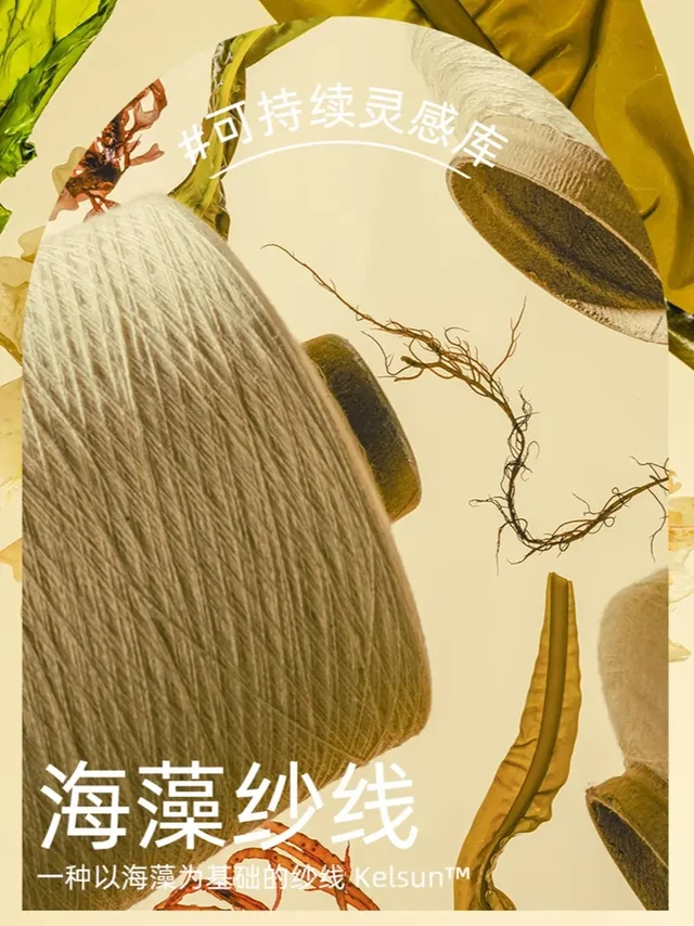 利用海洋可再生资源的海藻纱线🌿更可持续