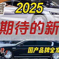 2025年国产新车扎堆上市，仰望和尊界蓄势待发，领克也发力了