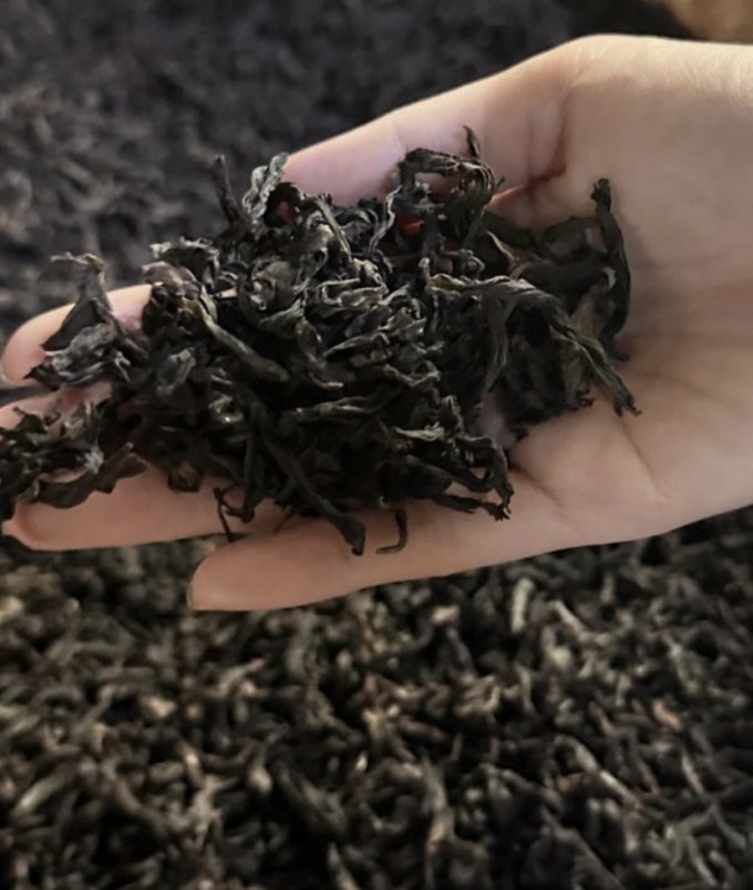 绿茶