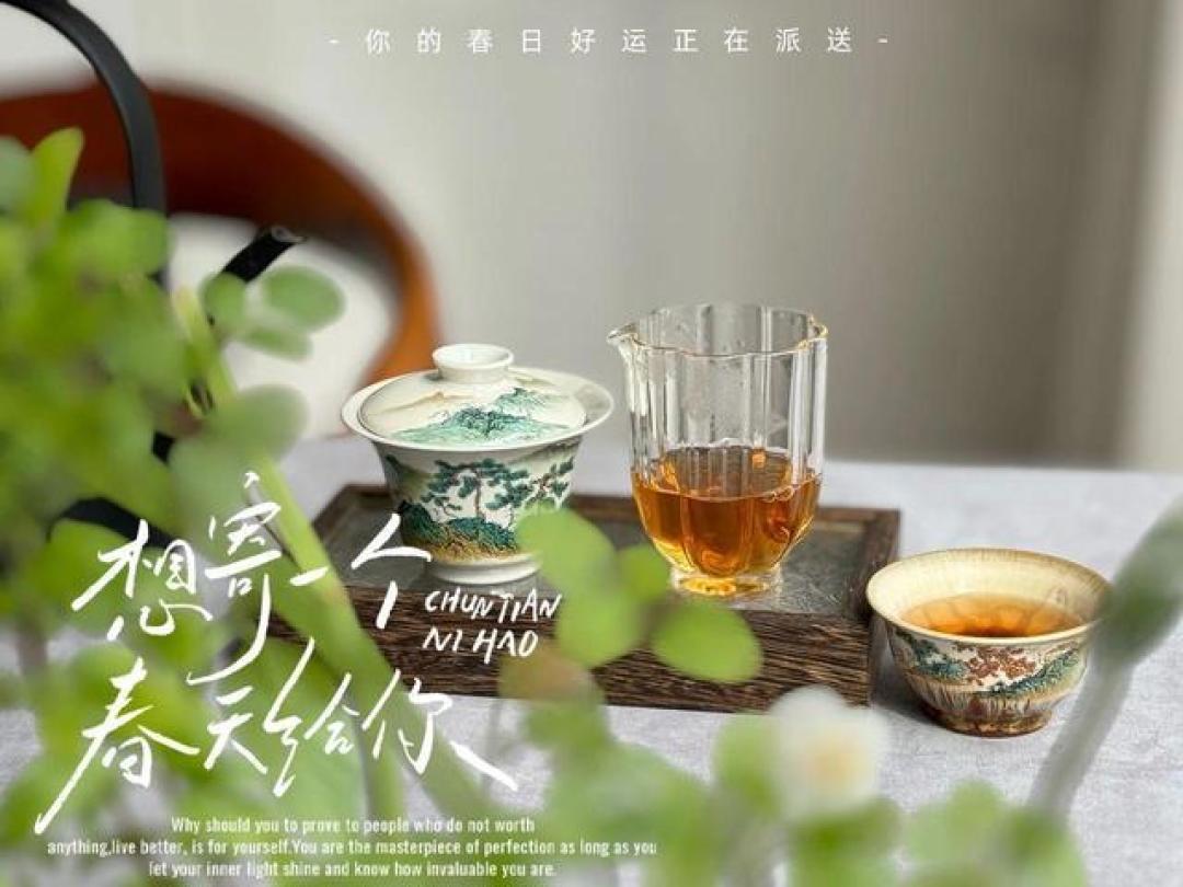 精选内容集|关于茶具选择的艺术与智慧