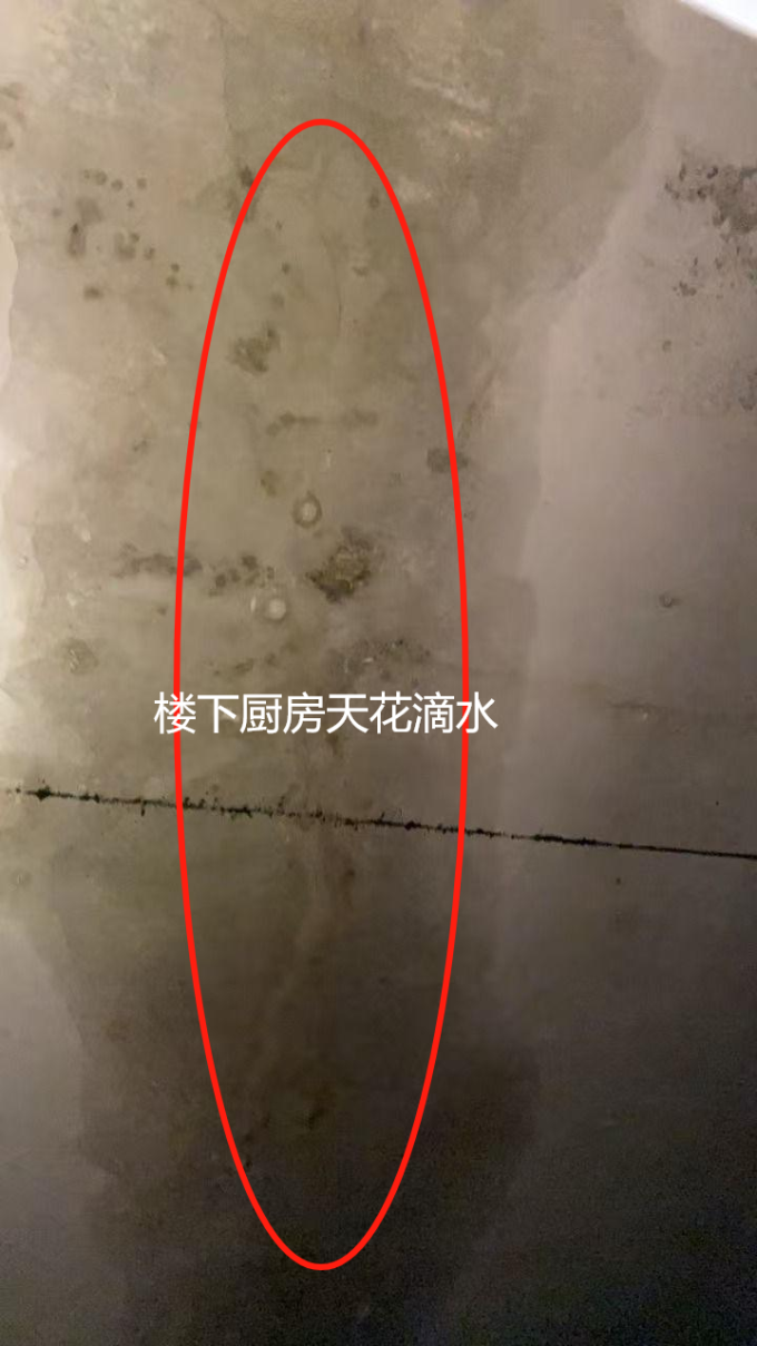 东方雨虹油漆