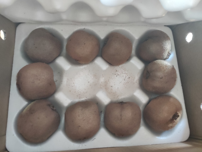 盛觅新鲜水果