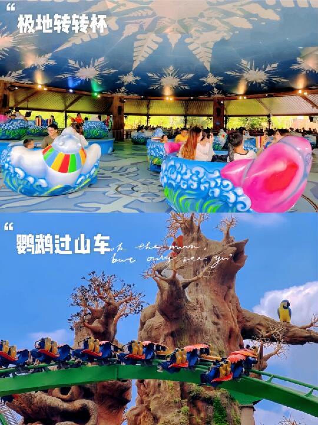 冬季畅游珠海长隆:穿衣指南与住宿精选推荐