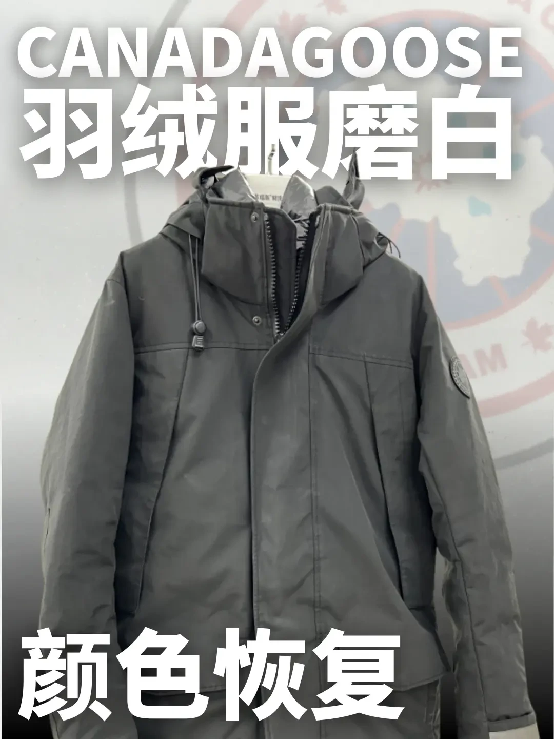加拿大鹅黑标与白标的区别解析及选购建议
