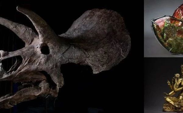 台北允臧斋1月秋拍隆重呈献 | 见证恐龙灭绝的白垩纪三角龙化石