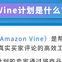 4大更新！亚马逊Vine计划新政策与优惠揭晓，助力所有卖家