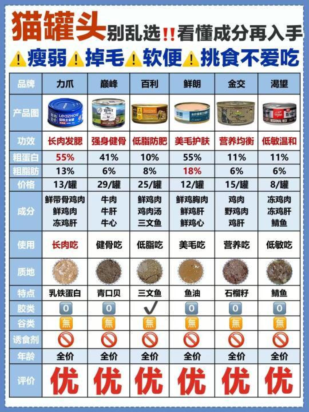 精选内容集|猫罐头挑选技巧教你如何为猫咪选购健康食品
