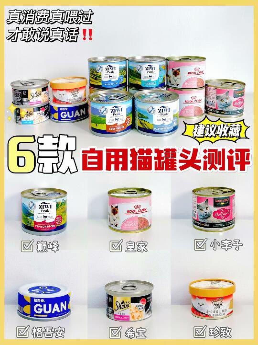 精选内容集|猫罐头挑选技巧教你如何为猫咪选购健康食品