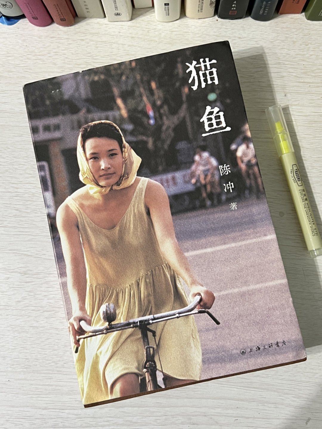 上海三联书店散文怎么样物超所值的豆瓣2024年度图书｜陈冲的首部自传性散文集《猫鱼》_什么值得买