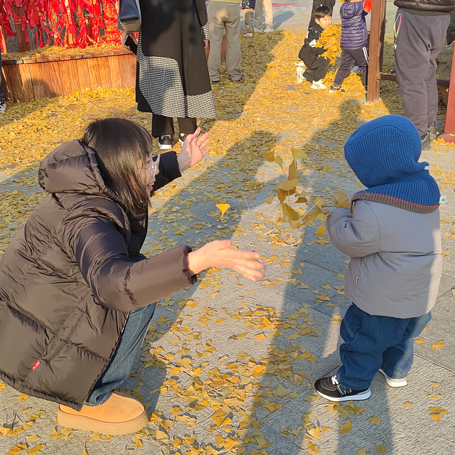 去青岛法海寺，赏千年古银杏！全家游玩的好去处！