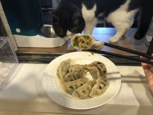 正大韭香脆皮煎饺：韭香咸香适中，蒸煎都绝绝子！