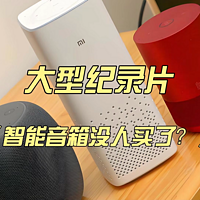 大型纪录片《智能音箱没人买了？》