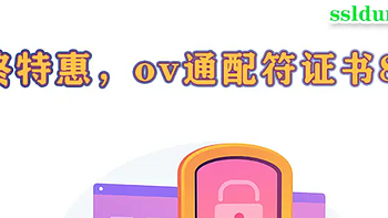 年终特惠，ov通配符ssl证书860元