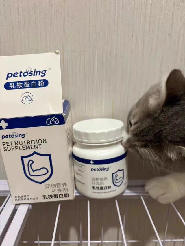 3 分钟学会挑宠物乳铁蛋白✅ 和智商税说拜拜