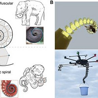 中国科大成功研发灵活“章鱼”触手机器人，应用前景广阔