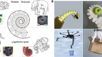中国科大成功研发灵活“章鱼”触手机器人，应用前景广阔