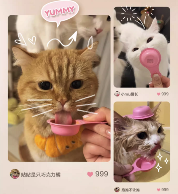 小编精选：猫咪舌尖上的极致诱惑，美味金勺舔不停！