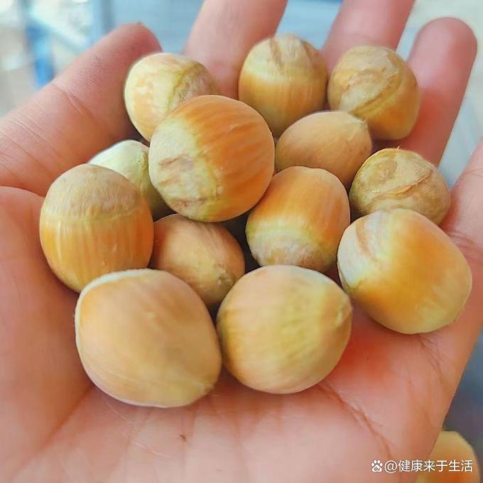 榛子