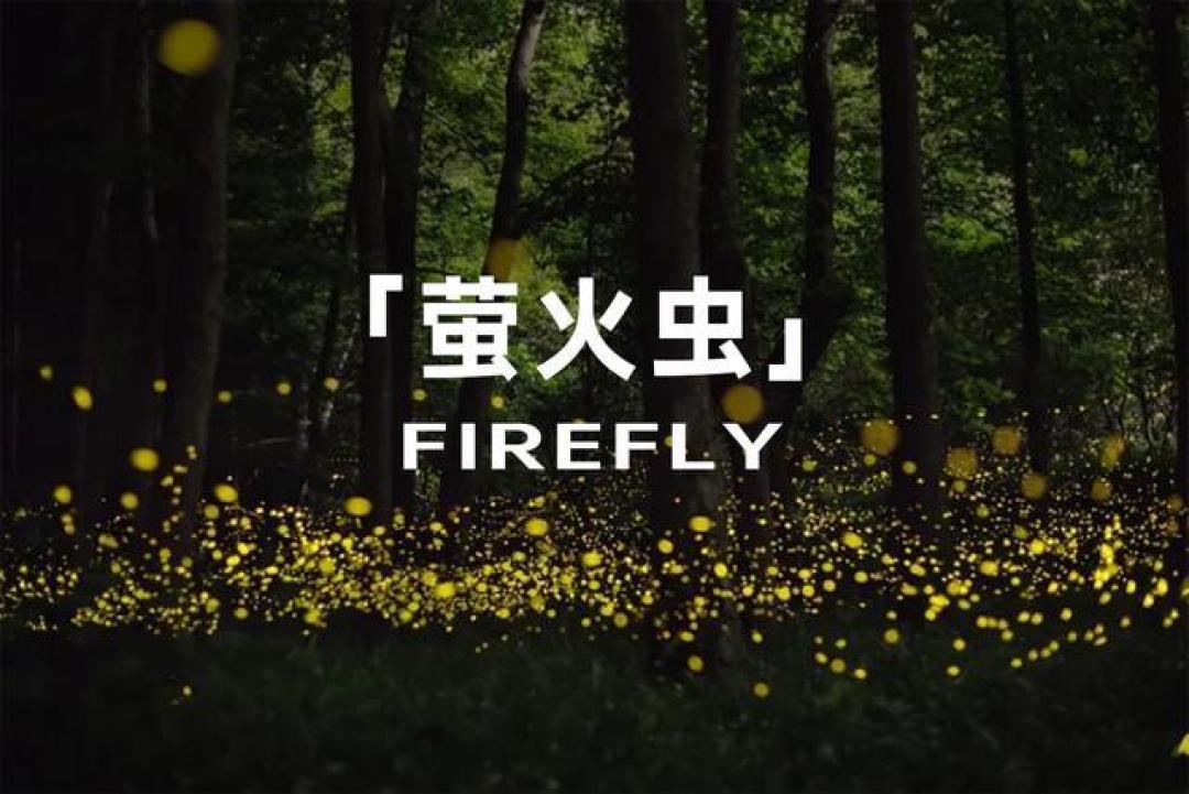 蔚来与乐道销量激增的多维探索:品牌策略与技术创新驱动力