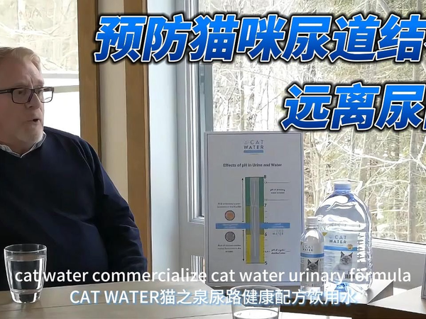 饮水远离尿闭！养猫的看过来——CATWATER猫之泉