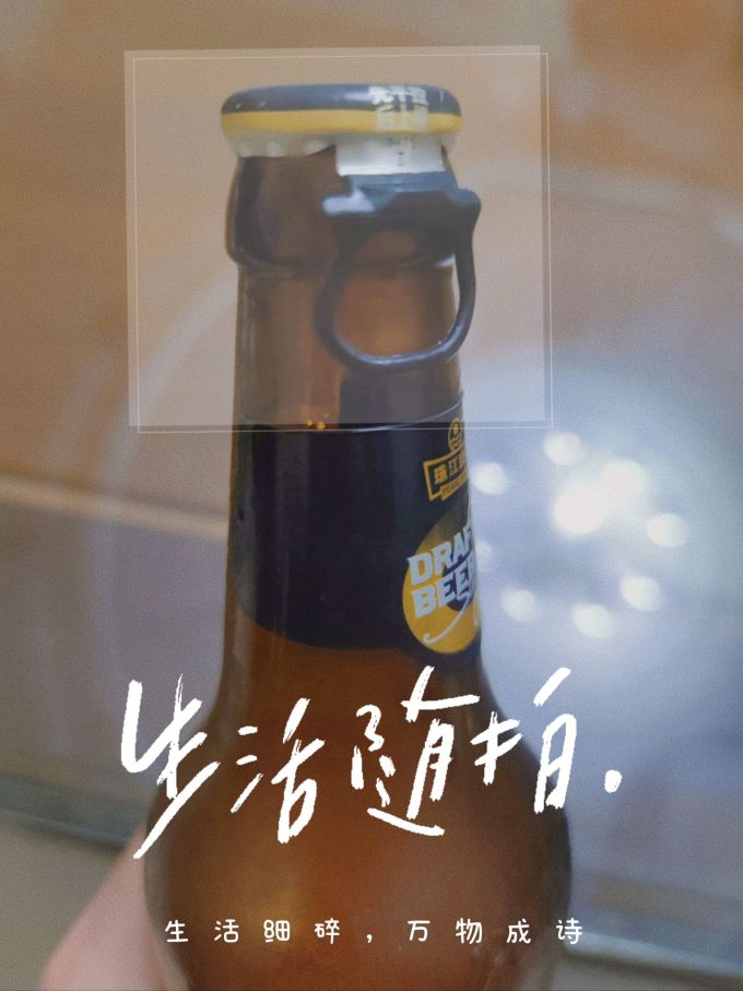 珠江啤酒啤酒