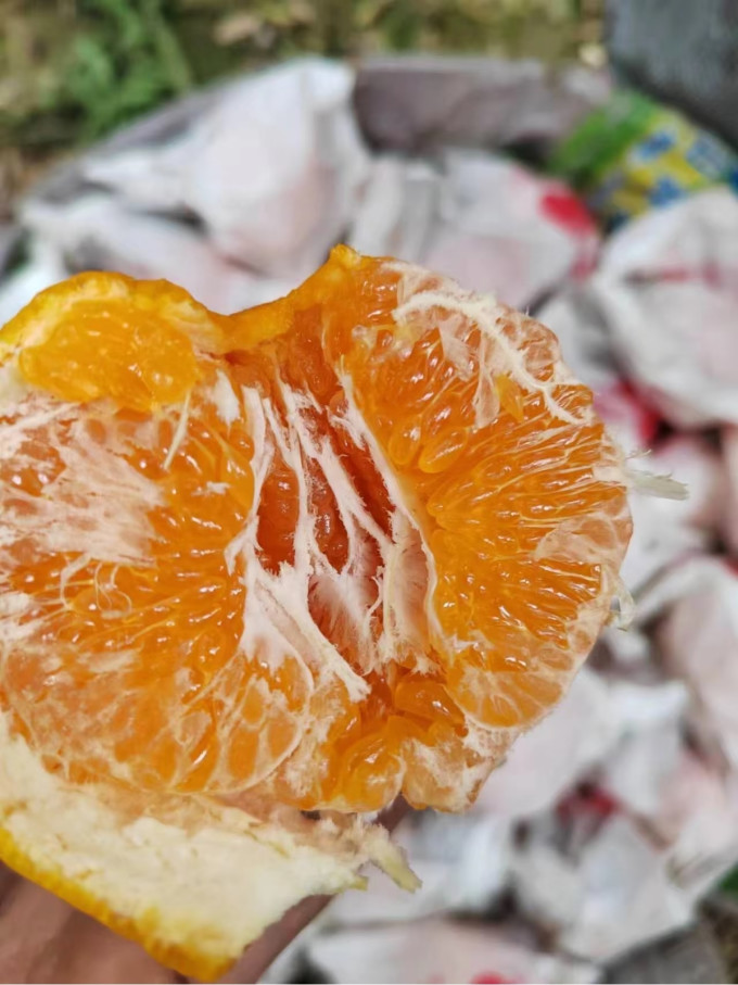 新鲜水果