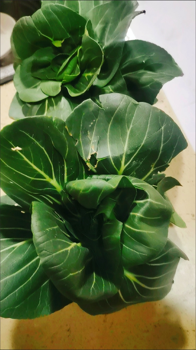 乔诚蔬菜