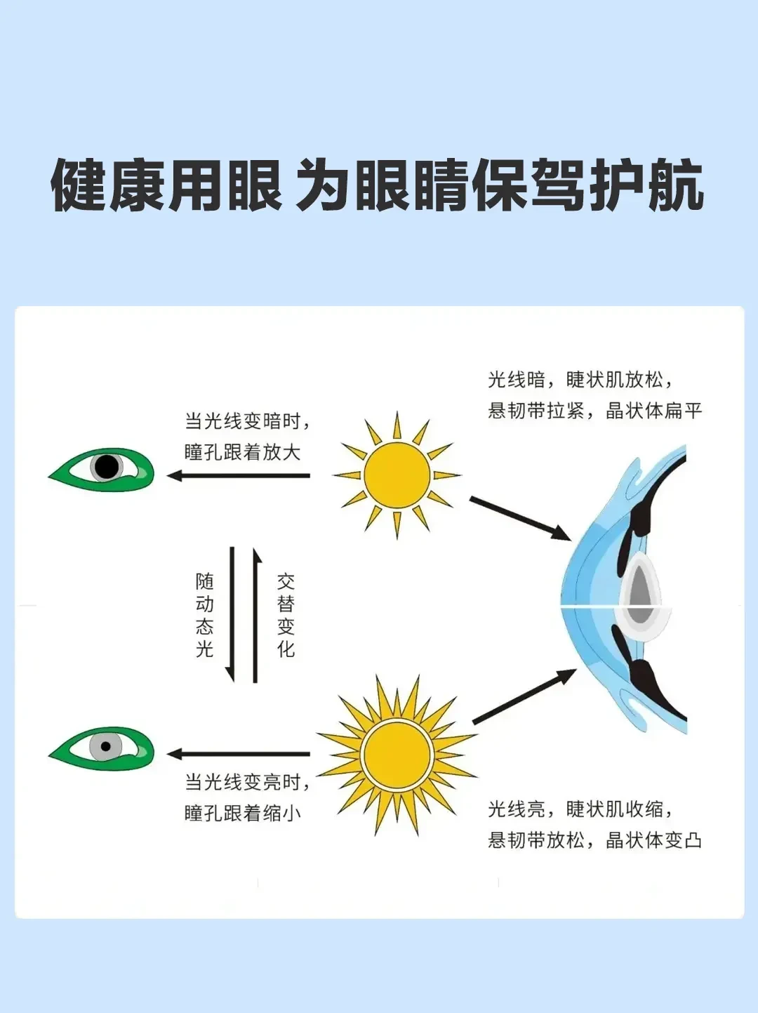 护眼灯选购指南：从蓝光防护到品牌推荐的全面解析