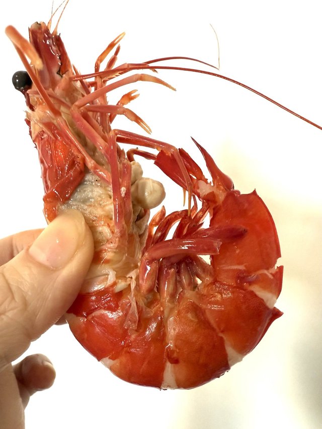 味美鲜甜——到三亚的第一顿虾