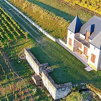 Domaine Ponsot：古老酒庄的崭新活力