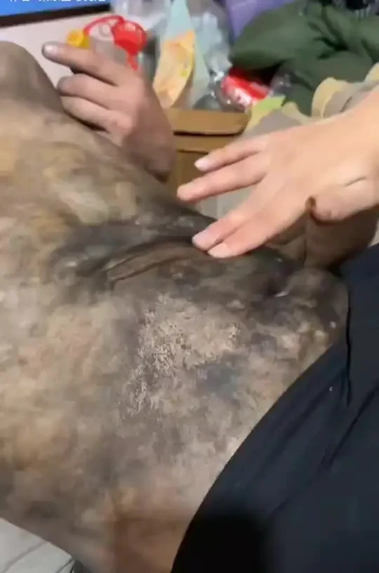 #广州同城上门保洁#年底大扫除#深度保洁#软装清洗#家电清洗